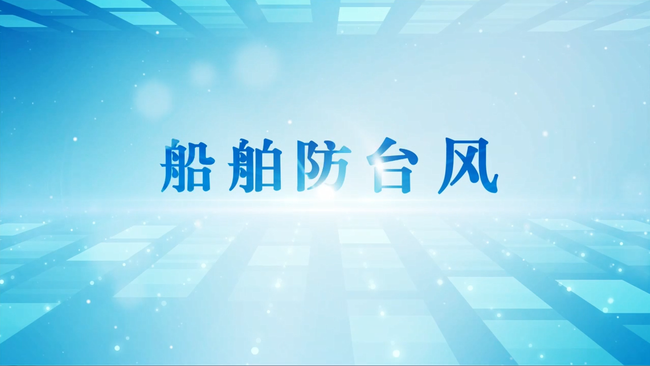 船舶防台风（图）