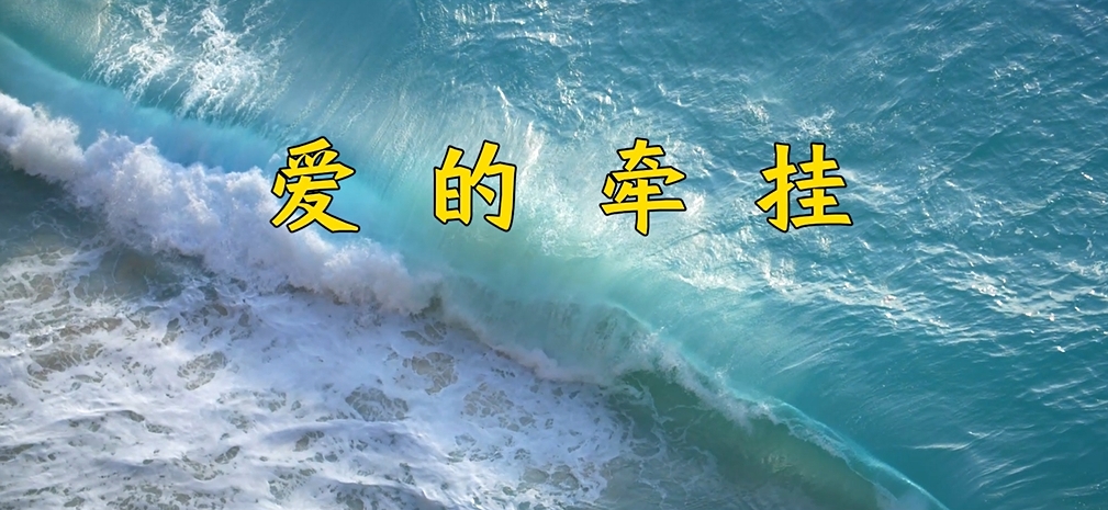 爱的牵挂（图）